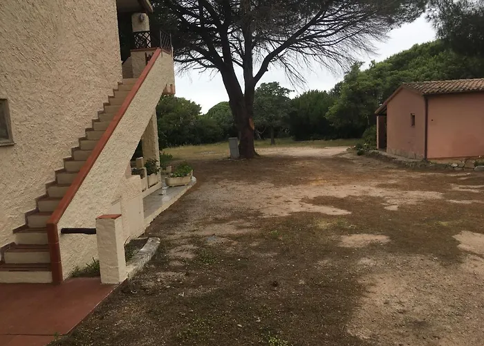 公寓 Monolocale A Di Gallura 雷纳马约勒