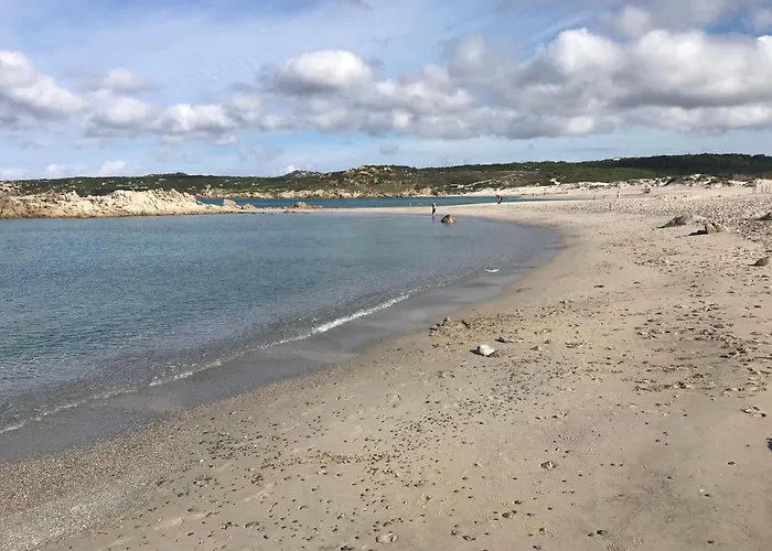 Daire Monolocale A Di Gallura Rena Majore